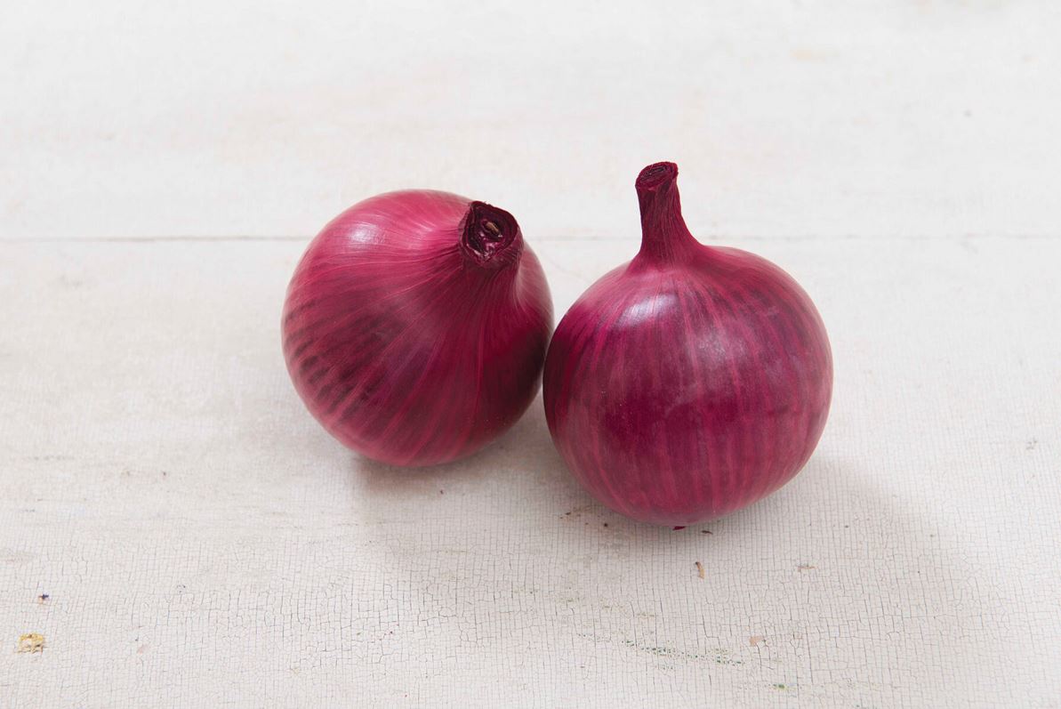 Red Hawk – Onion Seed